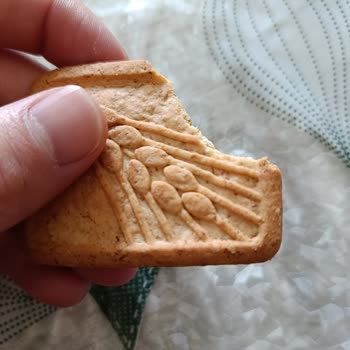 Bisküvinin İçinden Çıkan Kıl: Güven Sarsıcı Bir Deneyim