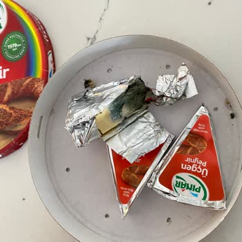 Üçgen Peynirde Kalite Sorunları