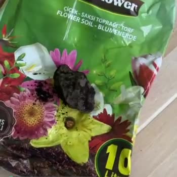 Migros Çiçek Toprağında Büyük Taşlar Çıktı!