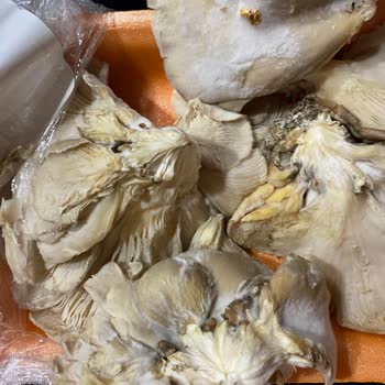 Bozuk Ürün Skandalı: A101'de Sağlık Tehlikede!