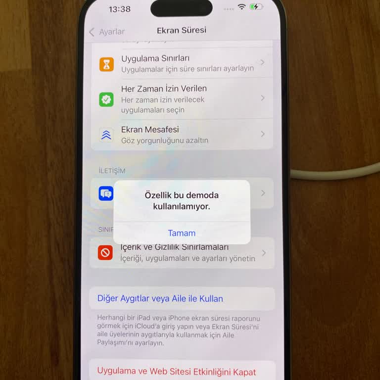Demo Telefon Satışıyla Hayal Kırıklığı