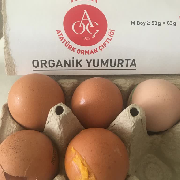 AOÇ Organik Yumurta: Kırık Ve Kurumuş Ürün Sorunu