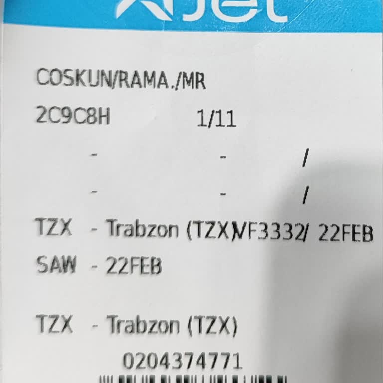 Kar Yağışı Nedeniyle Bagaj Sorunu Ve Müşteri Hizmetleri Mağduriyeti