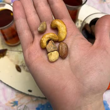 Kuruyemiş İçinden Çıkan Taş Diş Sağlığını Tehdit Ediyor