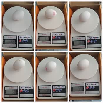 Yanıltıcı Yumurta Gramajı: Pastacılıkta Hayal Kırıklığı