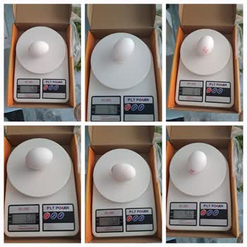 Yanıltıcı Yumurta Gramajı: Pastacılıkta Hayal Kırıklığı