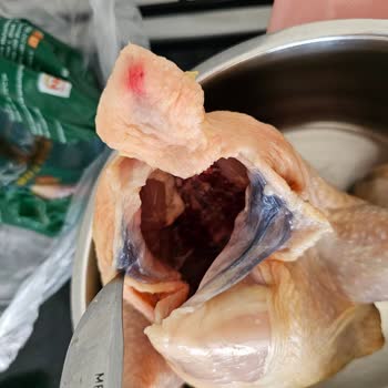 BİM'den Aldığım Tavuk Güven Vermiyor: Sağlığımız Tehlikede