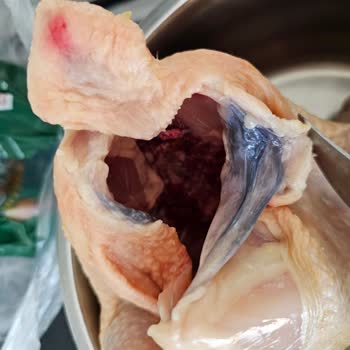 BİM'den Aldığım Tavuk Güven Vermiyor: Sağlığımız Tehlikede