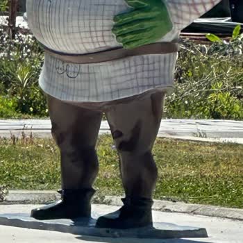 Parkların Güvenliği Ve Temizliği Hakkında Şikayet