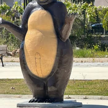 Parkların Güvenliği Ve Temizliği Hakkında Şikayet