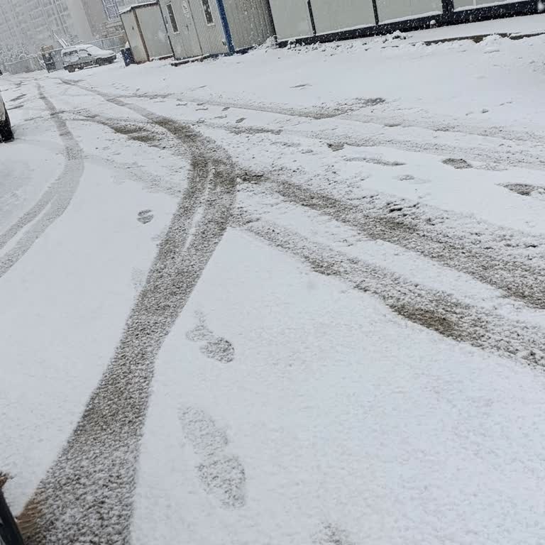 Timo Uygulamasındaki Görüntülü Sohbet Sorunu