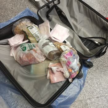 Turkish Airlines Compensation Request for Spoiled Items From Delayed Baggage
