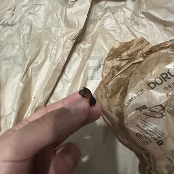 Trendyol Yemek Dürümden Çıkan Tehlike Ve İlgisiz Hizmet