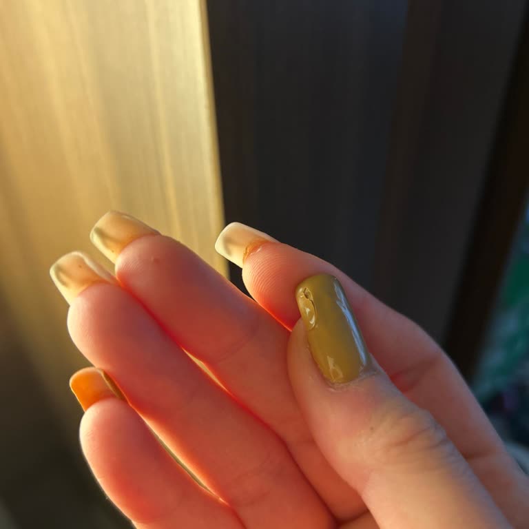 Randevu Kaosu Ve Memnuniyetsizlik