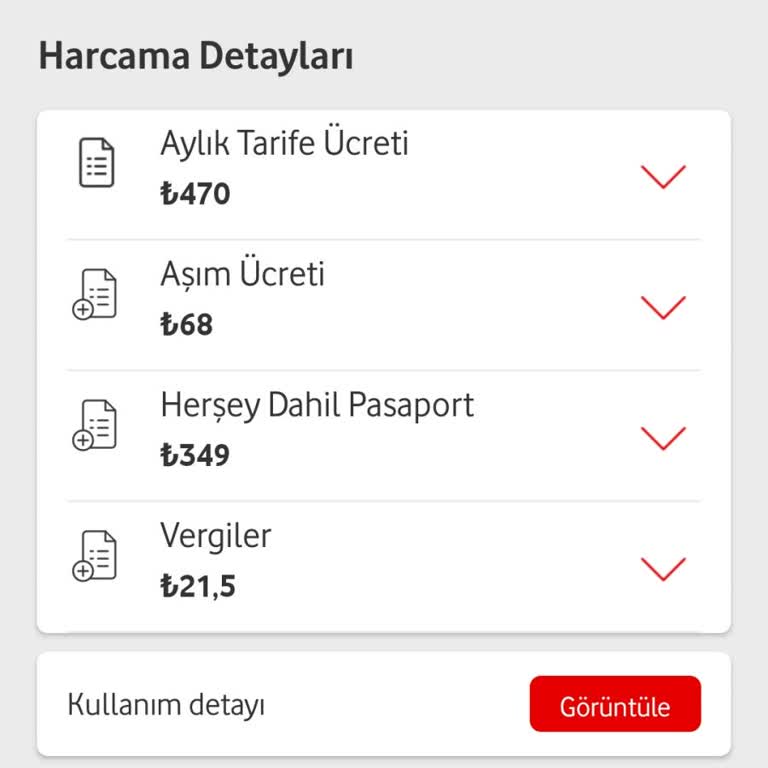 Haksız Faturalandırma: Her Şey Dahil Pasaport Ücreti Sorunu