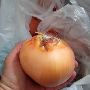 Online Alışverişte Beklenmedik Ürün Boyutları