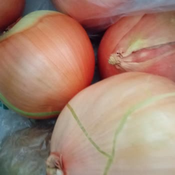 Online Alışverişte Beklenmedik Ürün Boyutları