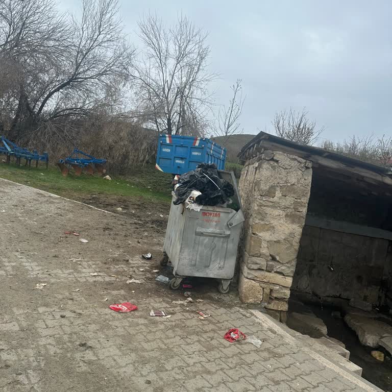 Kovancılar'da Çöp Sorunu: 1 Aydır Boşaltılmayan Konteynerler