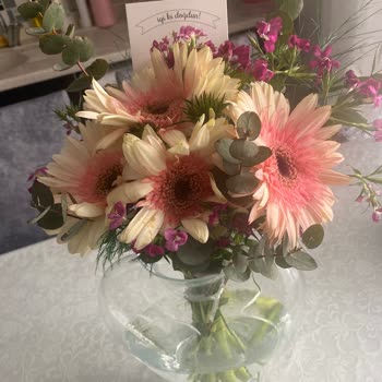 S***** Ç**** Ve Yanlış Teslimat Sorunu