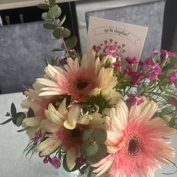 S***** Ç**** Ve Yanlış Teslimat Sorunu