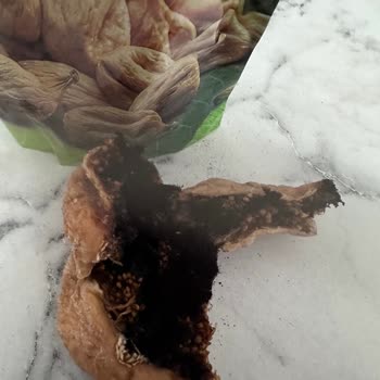 BİM'den Aldığım TARİŞ Kuru İncir Paketinde Küflü Ürün Şoku