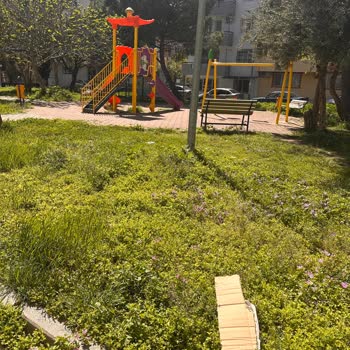 Parkın Bakımsızlığı Ve Çöp Sorunu