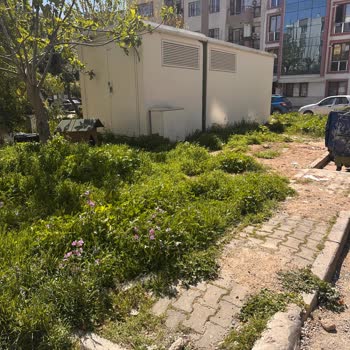 Parkın Bakımsızlığı Ve Çöp Sorunu