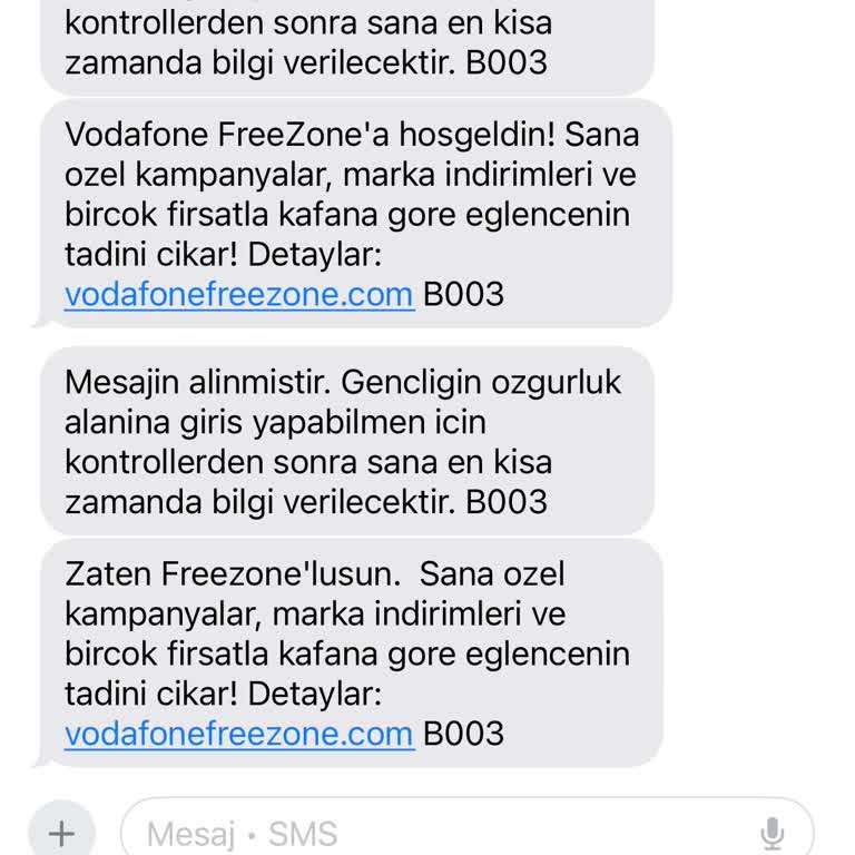 Freezone Avantajları Uygulamada Görünmüyor