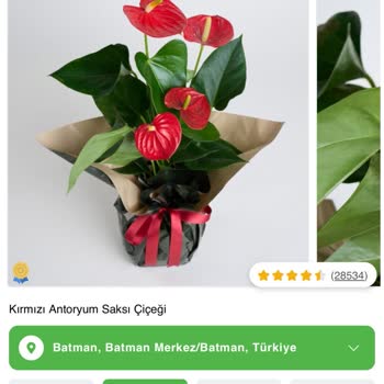 Çiçek Sepeti'nde Yanlış Çiçek Ve İletişim Sorunları