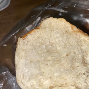 Ekmekte Karşılaşılan Şok Edici Saç Problemi