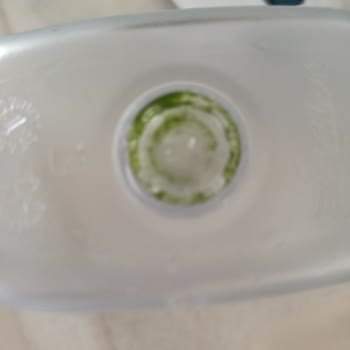 Brita'da Yosun Sorunu: Güvenilirlik Tehlikede