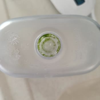 Brita'da Yosun Sorunu: Güvenilirlik Tehlikede