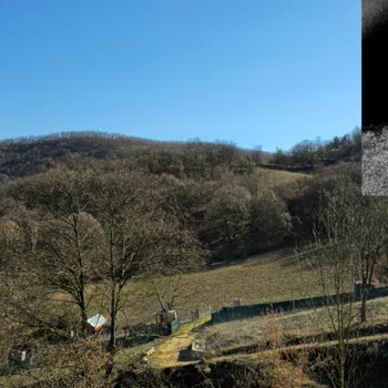 Samsung S24 Ultra Fotoğraf Kalitesi Sorunu