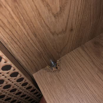 Arno Home Yatak Odası Takımında Sürekli Sorunlar