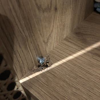 Arno Home Yatak Odası Takımında Sürekli Sorunlar