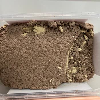 Bozuk Torku Helvası Ve İletişim Eksikliği