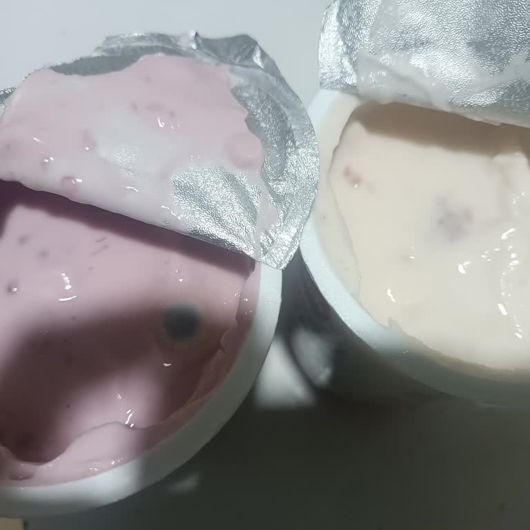 Küflü Meyveli Yoğurt Şikayeti