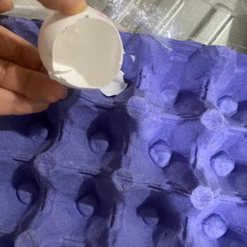 Kırık Yumurta Şoku: Büyük Markadan Beklenmedik Haksızlık