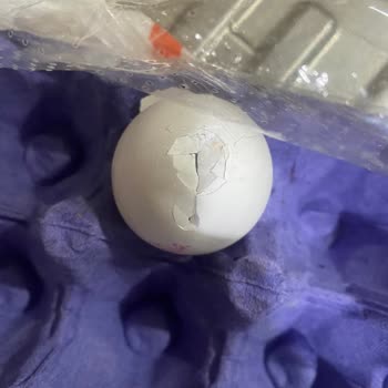 Kırık Yumurta Şoku: Büyük Markadan Beklenmedik Haksızlık