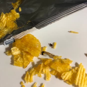 Cips Paketinden Çıkan Sinek Şoku