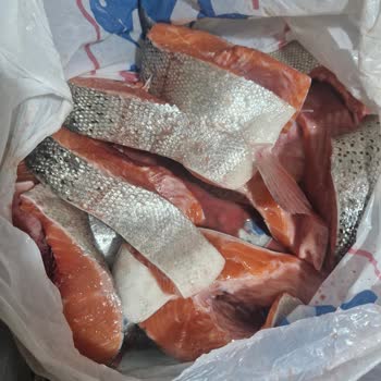 Hijyen Sorunlu Balık Teslimatı