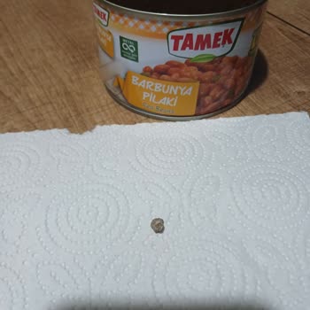 Tamek Konserve İçinden Çıkan Taşla Şok Oldum