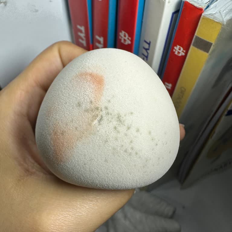 Küflenen Makyaj Süngeri: Kalite Soru İşaretleri