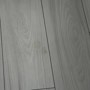 Roborock Q Revo Curv Model Robot Süpürge Beklentileri Karşılamıyor