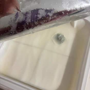 Küflü Peynirle Karşılaşma: Soğuk Zincir Problemi