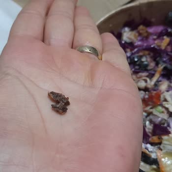 Yemekte Böcek Şoku: Güvenimizi Sarsan Deneyim