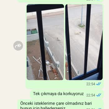 Sivas Belediyesi'nin Sokak Köpekleri Sorunu Çözülmüyor