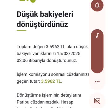Paribu Düşük Bakiyeli Varlıkların Dönüştürülmesi Sonrası Sorun