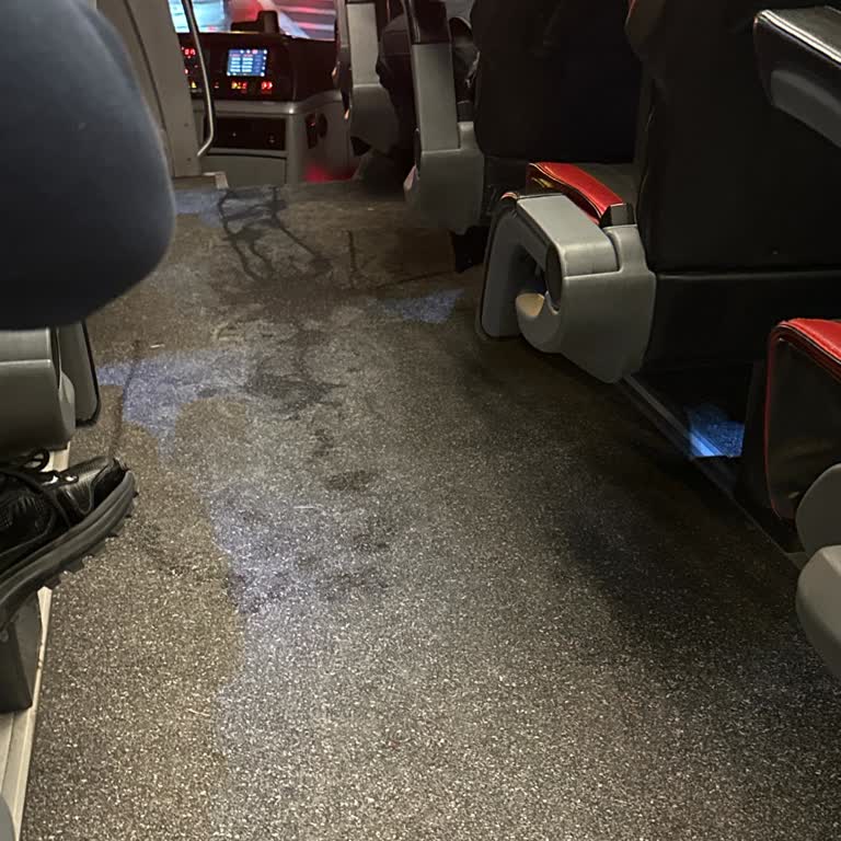 Varan Turizm İle Korku Dolu Bir Yolculuk