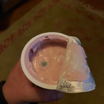 Taze Görünümlü Küflü Yoğurt Hayal Kırıklığı